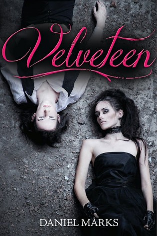 Review: Velveteen by Daniel Marks