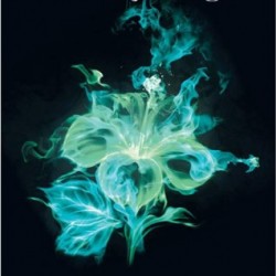 Review: Scent of Magic by Maria V. Snyder