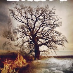 Review: Exiled by M.R. Merrick
