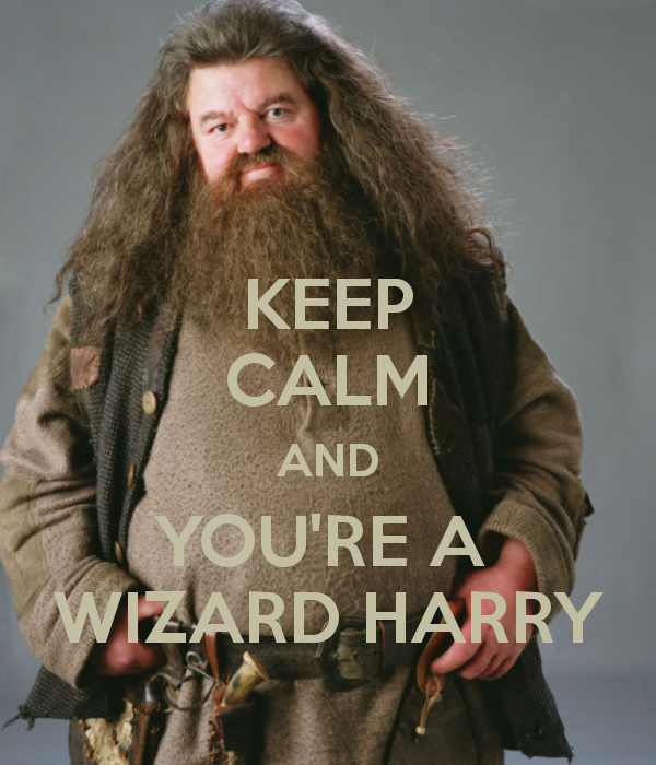 keep-calm-and-you-re-a-wizard-harry-2