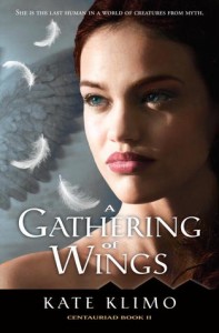 A Gathering of WIngs