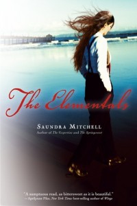 The Elementals by Saundra Mitchell