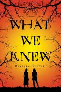 What We Knew by Barbara Stewart 