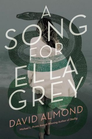 Review:  A Song for Ella Grey by David Almond