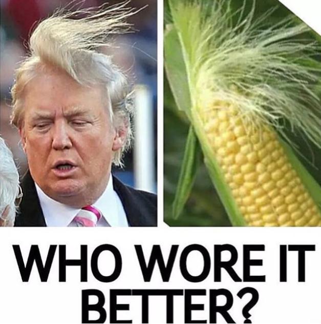 trump-vs-corn-who-wore-it-better-meme